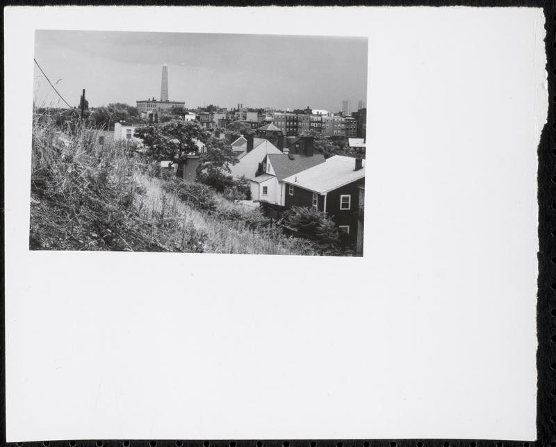 View of Bunker Hill Monument from Mead Street