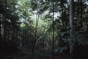 19890900_00012