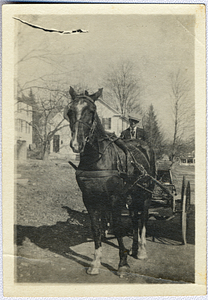 Art E. Rosenburg on cart