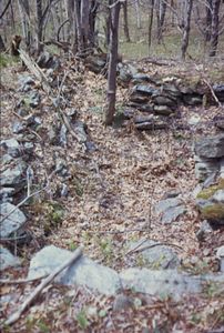 Danforth Mountain Land Farm, cellar hole foundation south of Birch Brook Trail.