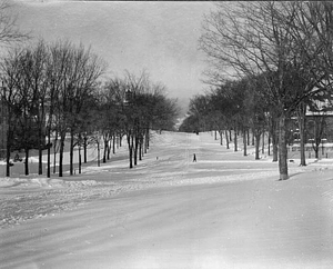 Corner of Main and Spring streets, 1897