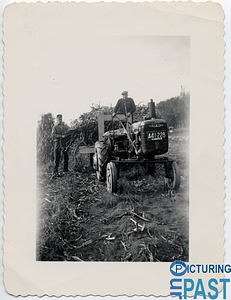 Albert Cummings on a Tractor
