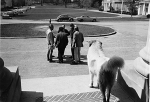 View of strikers from Chapin steps, 1970