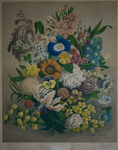 James Vick: Importer and Grower of Flower Seed, Rochester, N.Y.