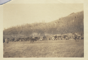Cars on lawn