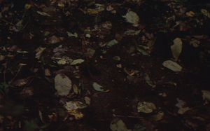 19890900_0034