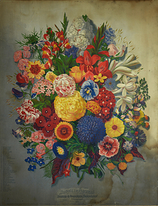 Bouquet of Flowers.