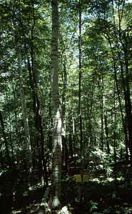 19970627_046