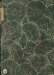 [Allegoriae Novi Testamenti].