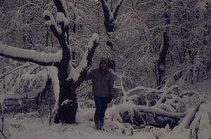 Martin Immerman '76 next to open grown red maple (Acer rubrum) in Hopkins' pasture on Carriage Road morning after 8 December 1972 snowstorm.