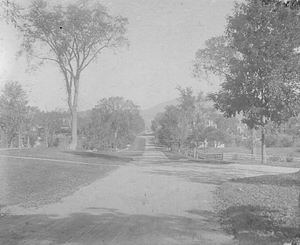 Park Street, 1897