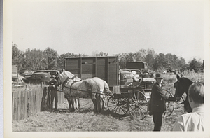 Activity at a horse show