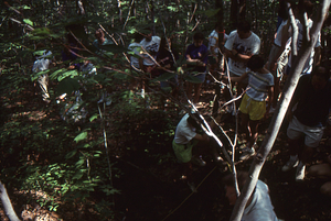 19920613_0002