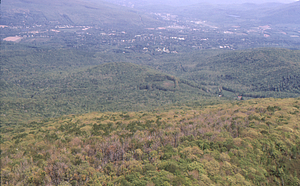 19720528_0025