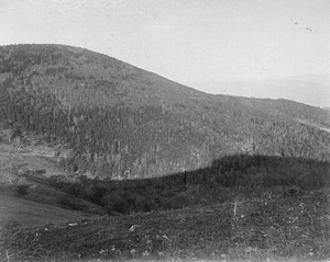 The Dome, 1897
