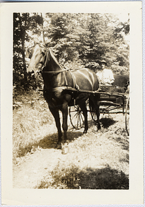 Art E. Rosenburg on cart
