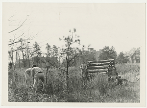 Springfield College Commando Course (ca. 1943)